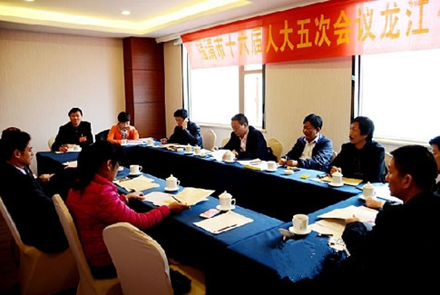 “兩會”委員積極獻智獻策