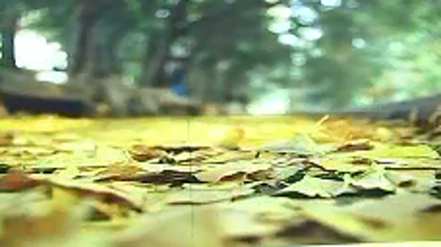 天氣早知：我省大部創下半年氣溫新低
