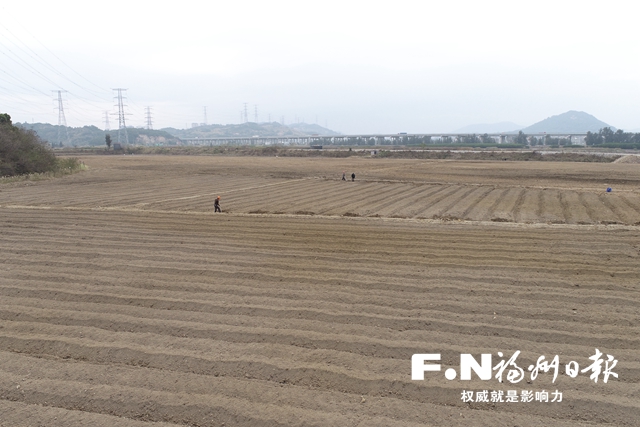 福清在全省率先試點“造地”：化腐朽為神奇 變坑塘為耕地