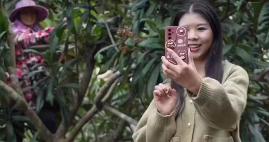 福州一都鎮(zhèn)念好枇杷發(fā)展“經(jīng)”