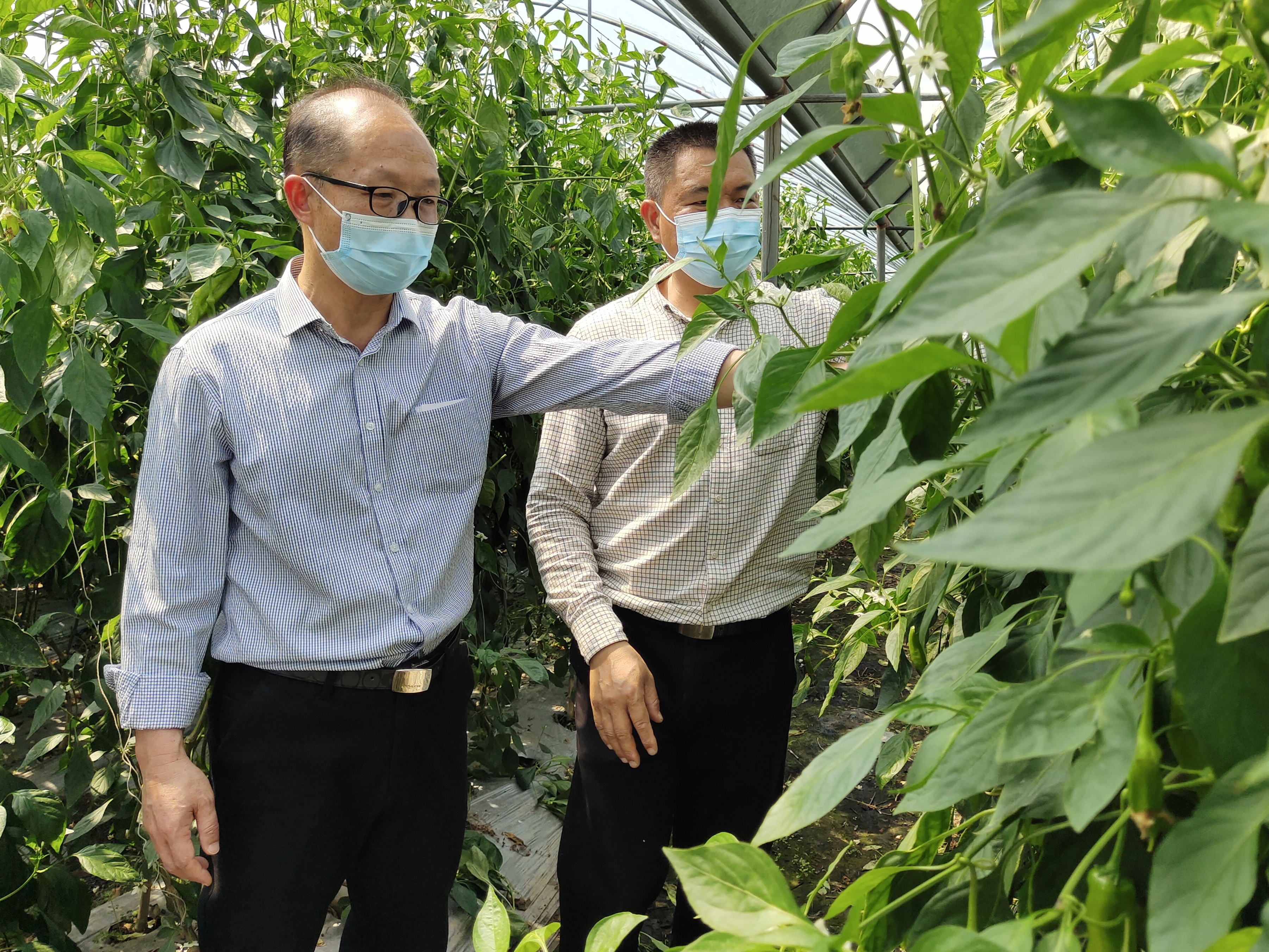 市農業農村局深入涉農企業指導服務