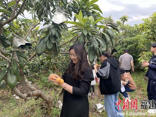 僑鄉(xiāng)福清東張“農文旅”帶熱古鎮(zhèn)游