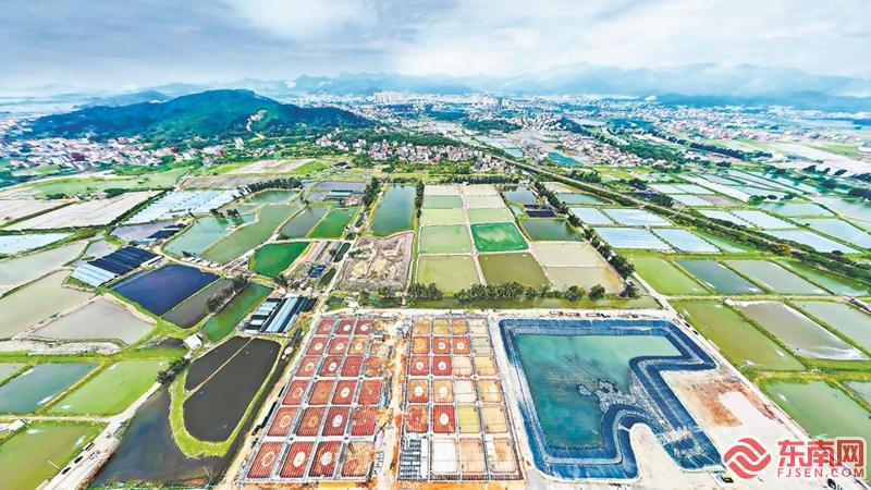圖瞰福清萬畝鰻鱺產業基地 圖瞰福清萬畝鰻鱺產業基地
