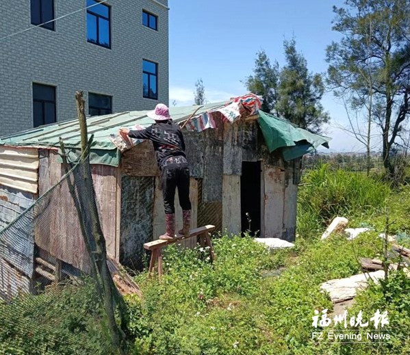 福清港頭鎮(zhèn)拆除十余處違建