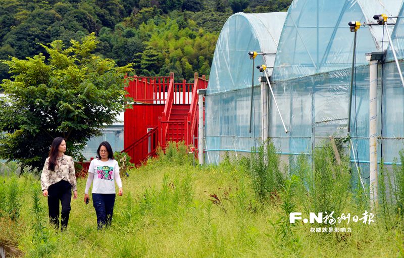 臺胞母女好搭檔 福清“跨界”當農民