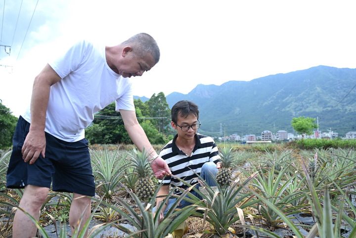 福建福清：加強(qiáng)閩臺(tái)農(nóng)業(yè)合作促進(jìn)產(chǎn)業(yè)融合發(fā)展