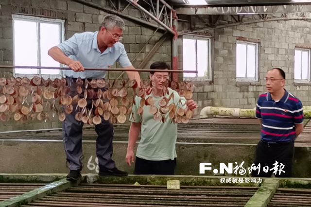 福州福清：“桃花島主”的致富經