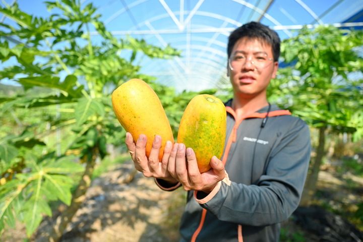 福建福清：加強(qiáng)閩臺(tái)農(nóng)業(yè)合作促進(jìn)產(chǎn)業(yè)融合發(fā)展