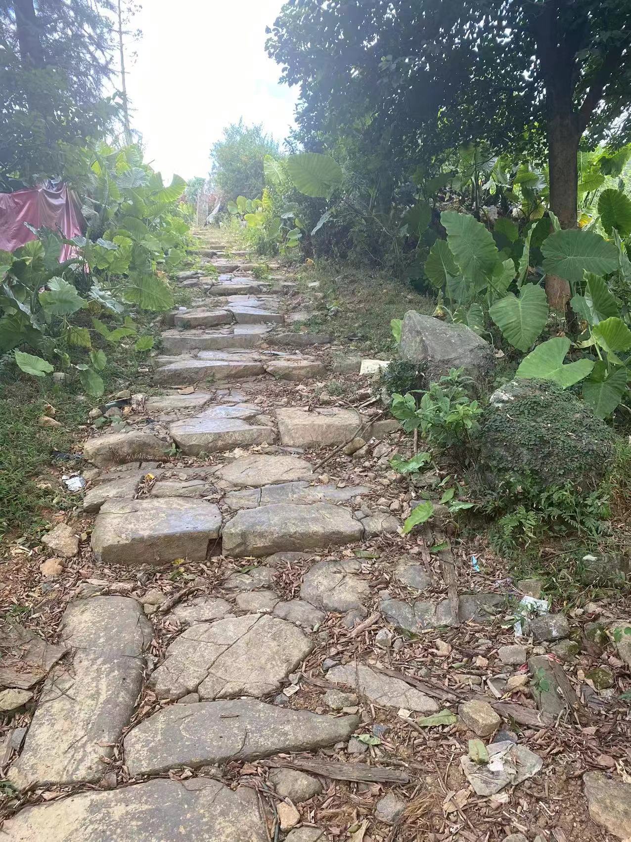福清發(fā)現(xiàn)黃檗希運禪師出生地舊址