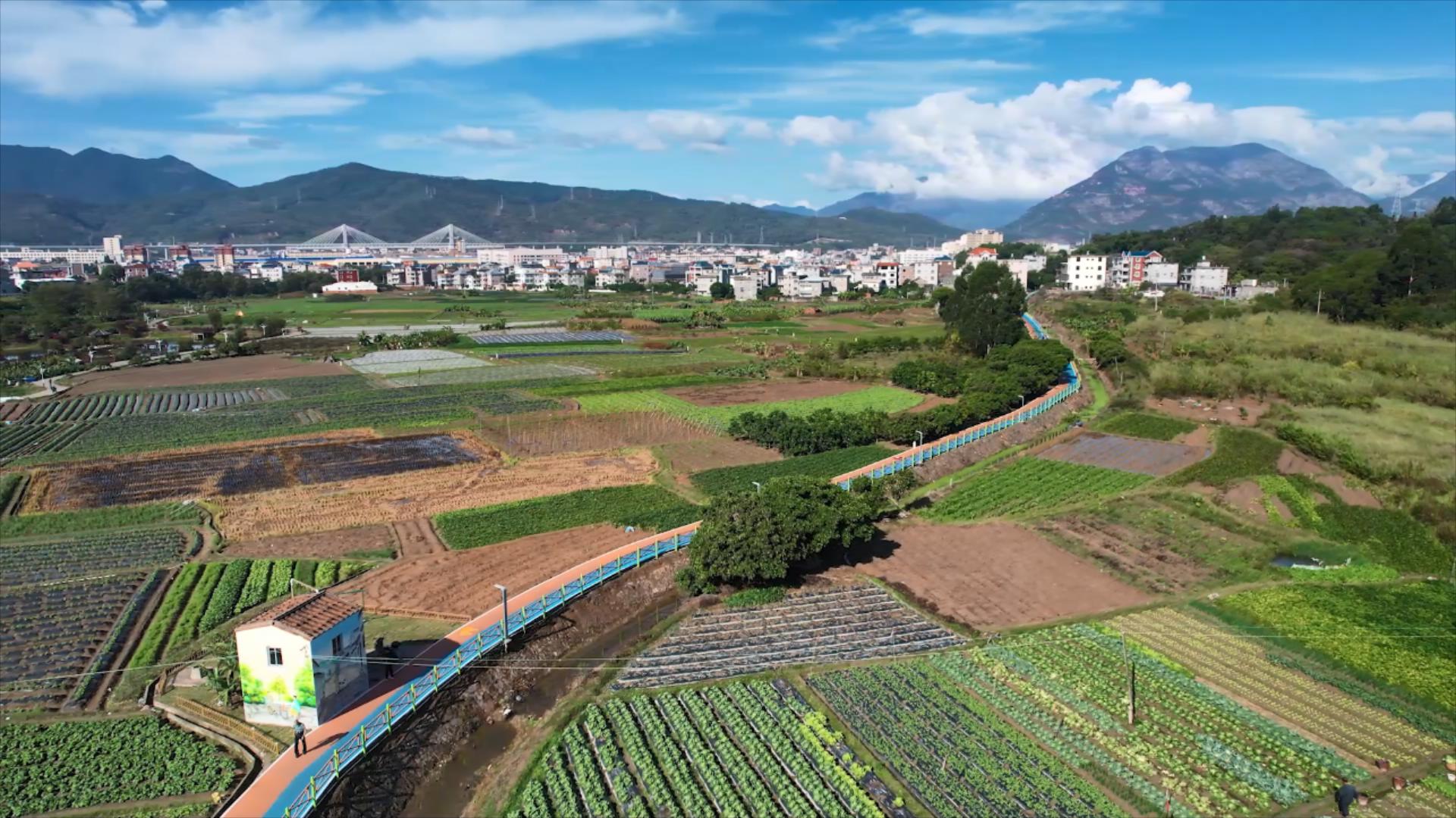 宏路街道建成特色田園步道 宏路街道建成特色田園步道