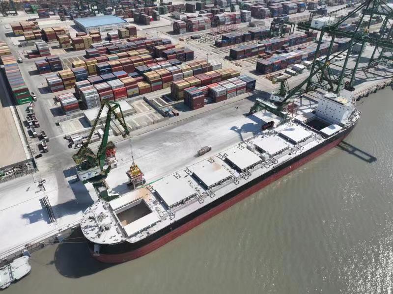 江陰港區迎來首批進境散糧