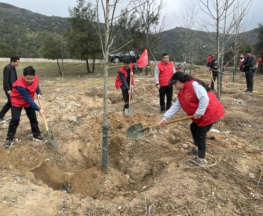 志愿者在南嶺鎮義務植樹