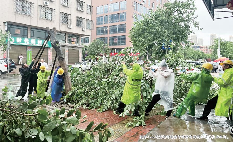 我市快速處置倒伏樹木  保障城市安全順暢運行