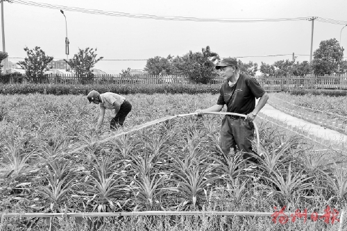 94d1dc3495ba1de4f8aea966a90e53f7_20230806_002_01_28.jpg 94d1dc3495ba1de4f8aea966a90e53f7_20230806_002_01_28.jpg