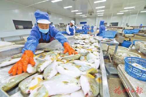 向新向外向更優(yōu)　福清經(jīng)濟(jì)社會(huì)發(fā)展成績亮眼，全國排名穩(wěn)步提升