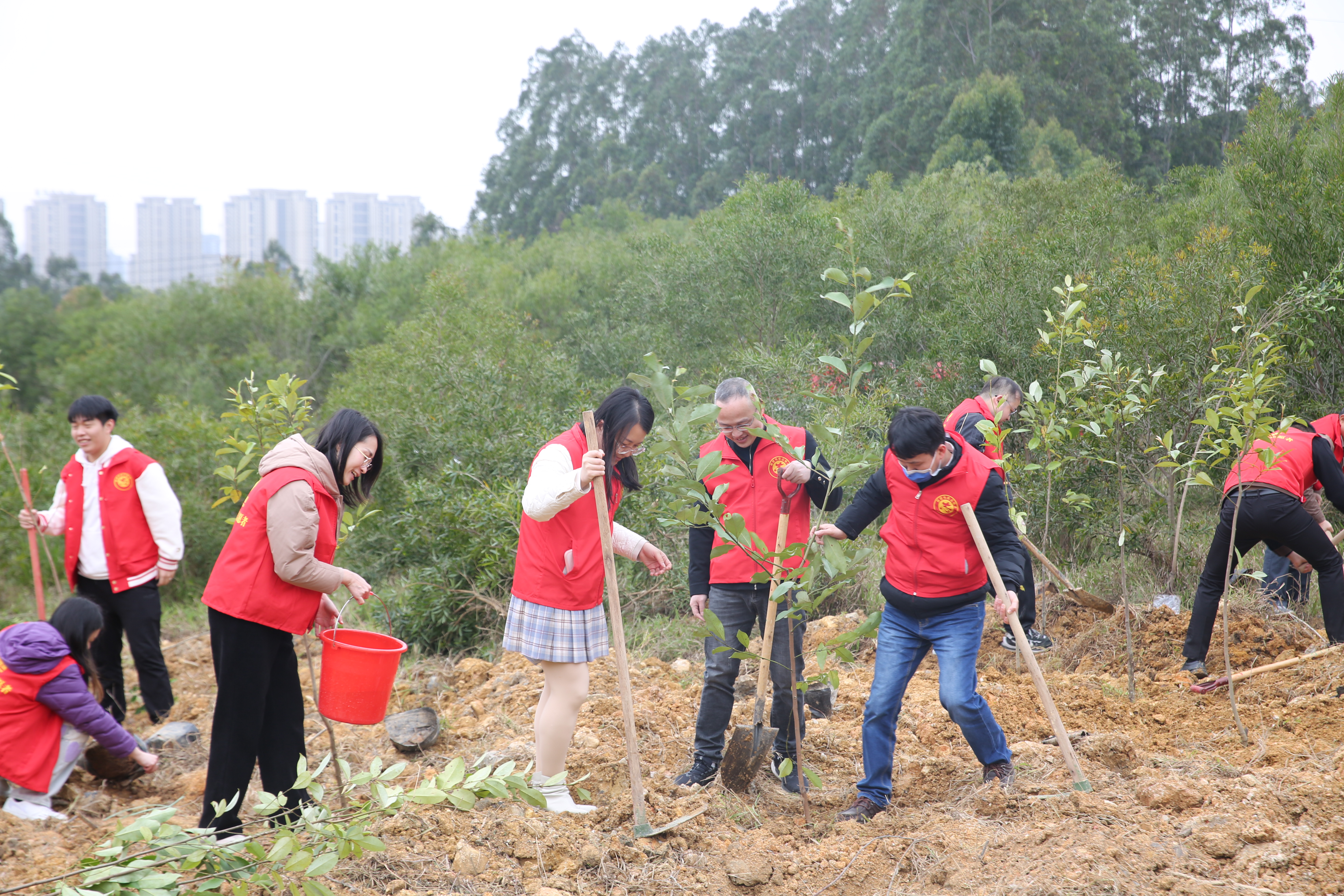 我市在“互聯(lián)網(wǎng)+全民義務(wù)植樹基地”開展義務(wù)植樹活動