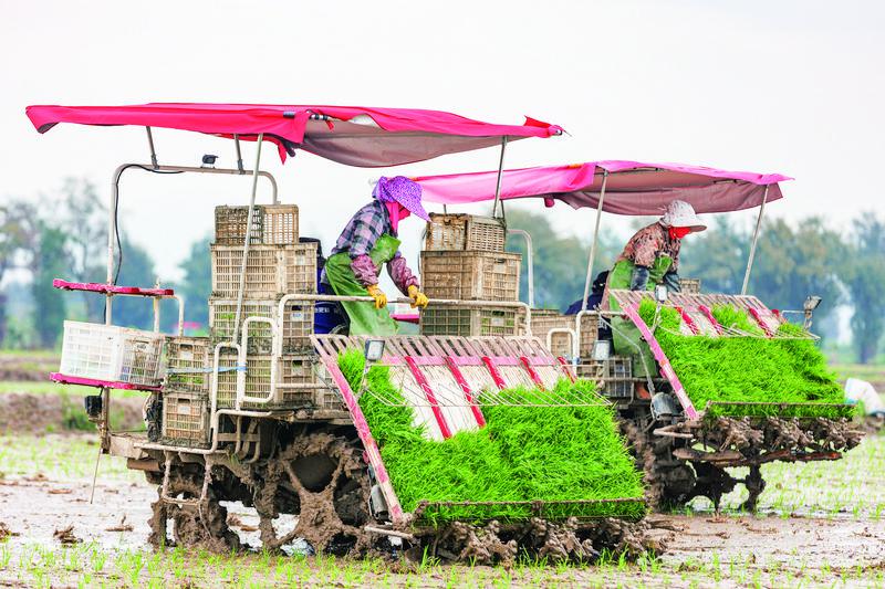 福清農(nóng)業(yè)生產(chǎn)滿滿“科技范”