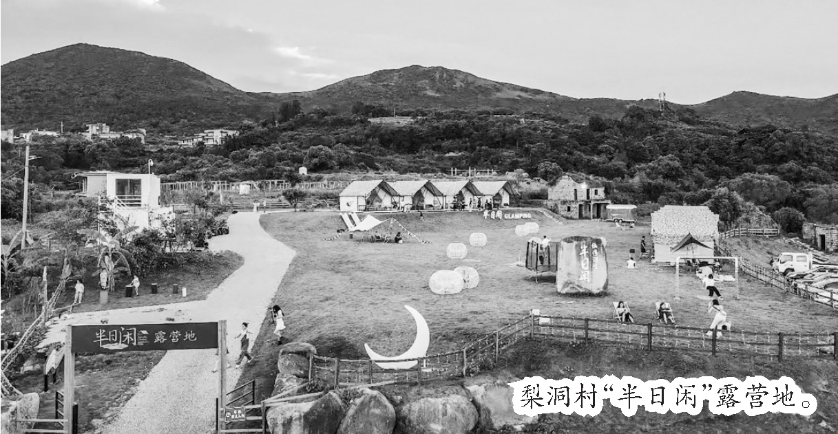 南嶺鎮梨洞村“三色融合”描繪鄉村振興美麗畫卷