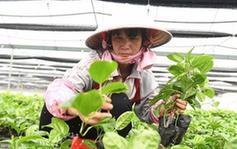 （經濟）（1）發展水果種植 助力脫貧攻堅