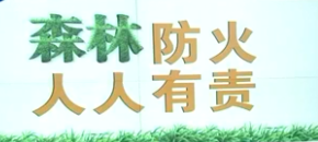 森林火災防范未