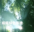 從生態底色好到綠色發展強 這里是福建